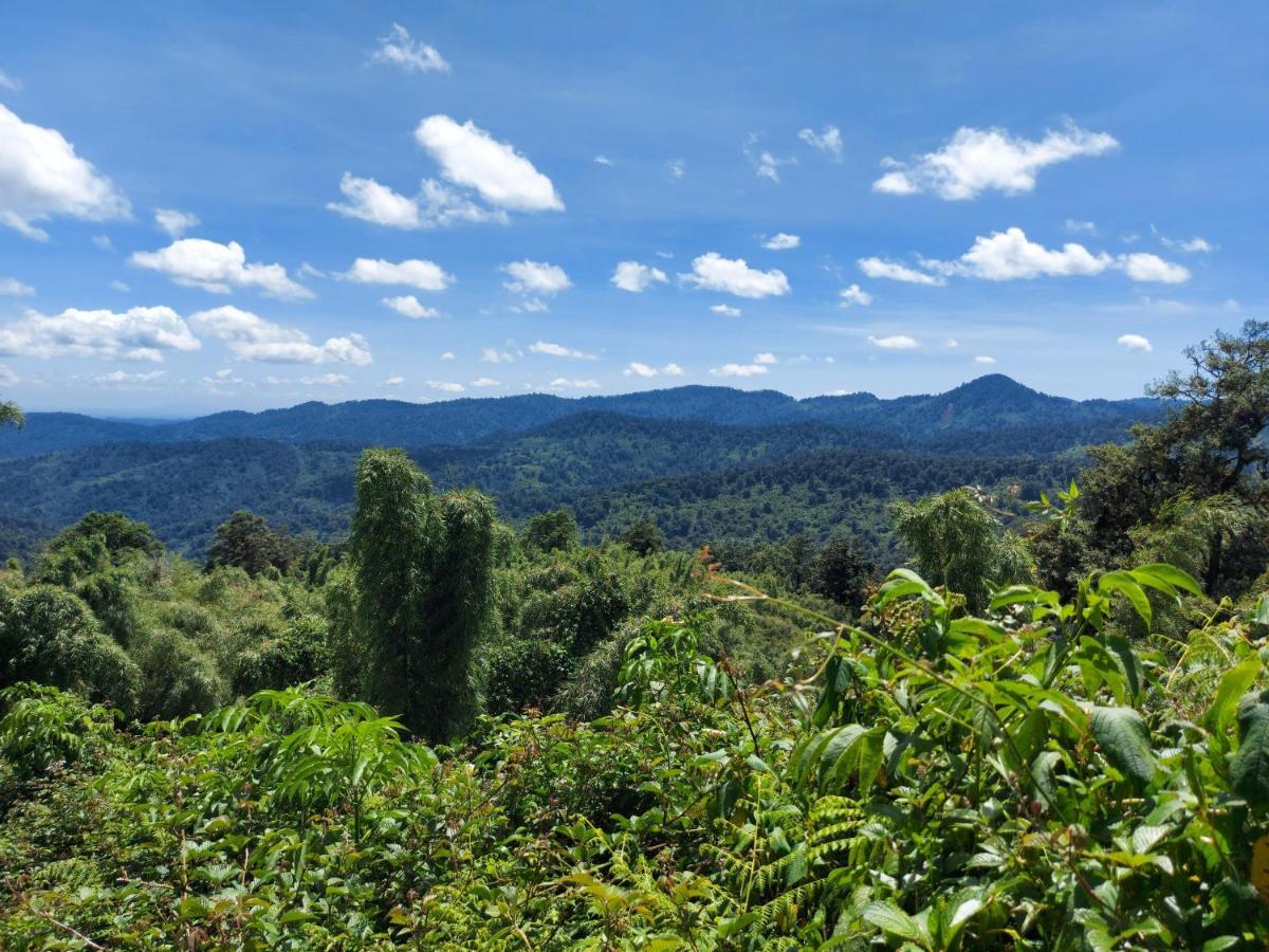 Ranges View Lodge Staycation Kiamuturi 외부 사진
